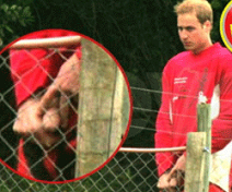 prince-william-nude-sm.png prince-william-nude-sm.png