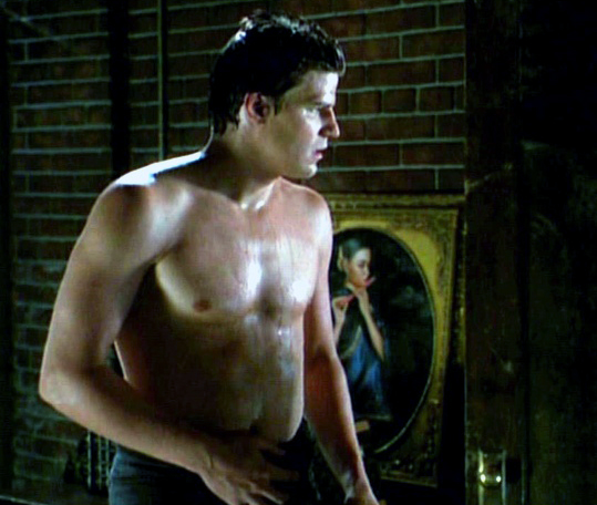 David Boreanaz Naked Pics