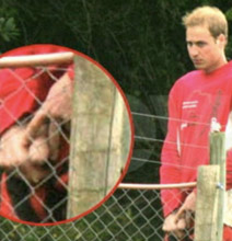 prince-william-peeing.png